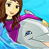 My Dolphin Show